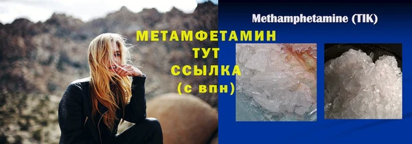 прущие грибы Тольятти