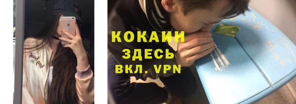 прущие грибы Тольятти