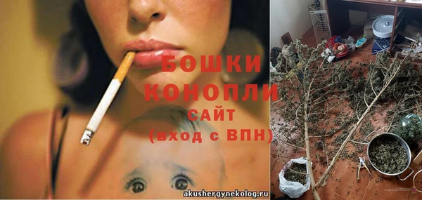 прущие грибы Тольятти