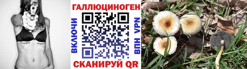 Псилоцибиновые грибы ЛСД  Купить  Темников 